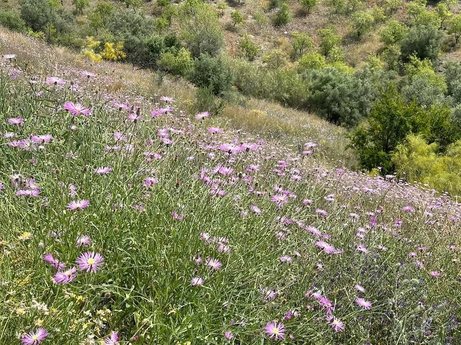 Holiday home Lovely Home With Heated Pool & Countryside Views Near Sedella, Andalucia