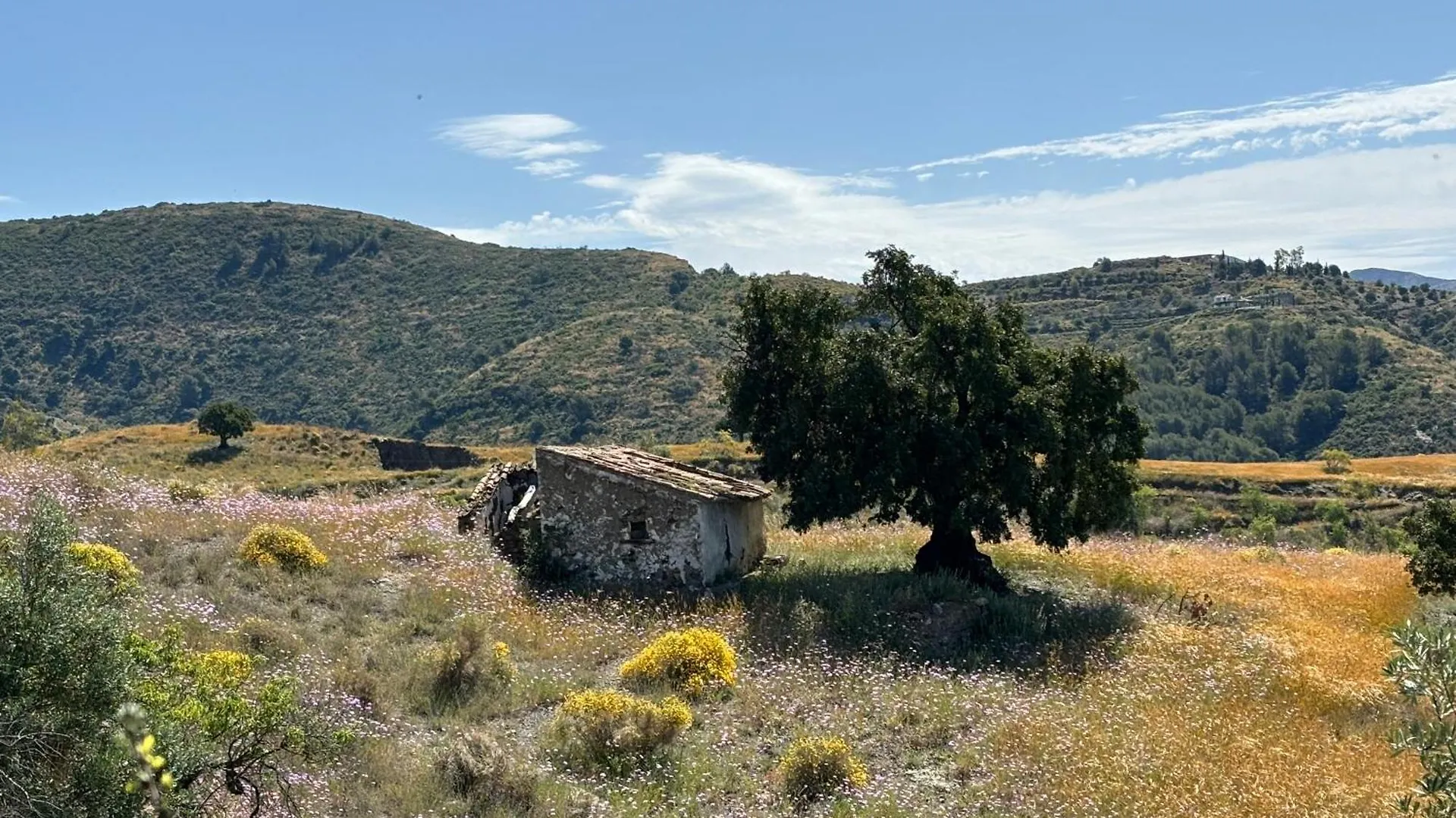 Lovely Home With Heated Pool & Countryside Views Near Sedella, Andalucia Sedella
